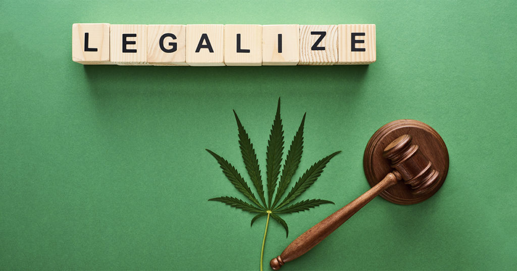 A cannabis leaf and a judge's gavel on top of a green backdrop. The word "legalize" is spelled out in block letters at the top.